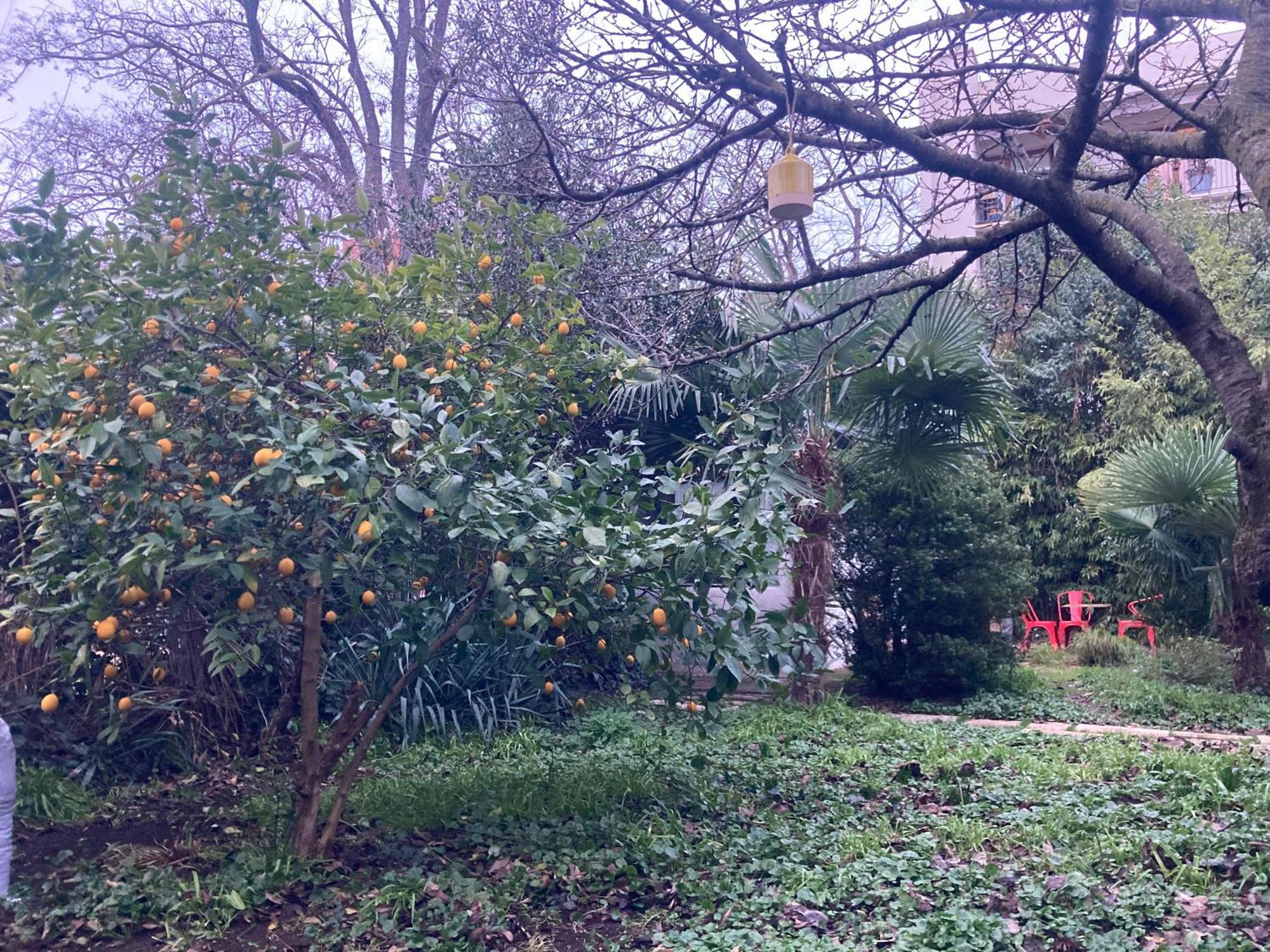 Un Jardin En Ville Tuluza Zewnętrze zdjęcie